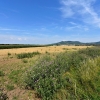 Pálava